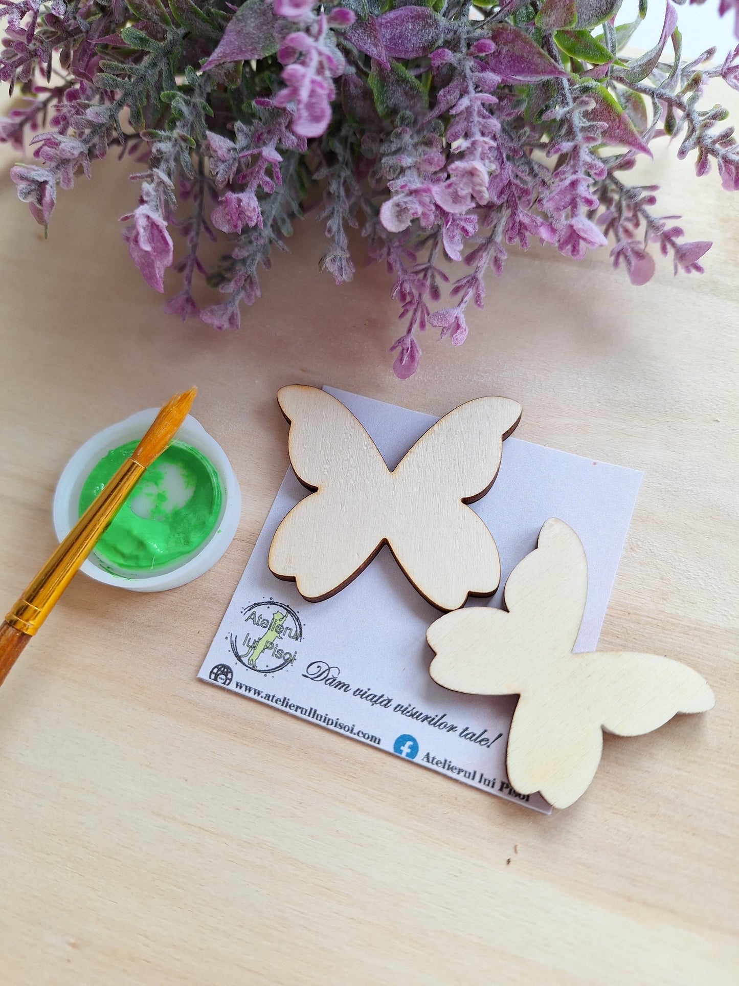 SET Baza blank-Fluture ALTP 2