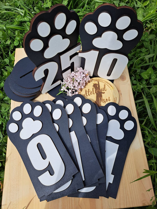 Numere masă -model labuță